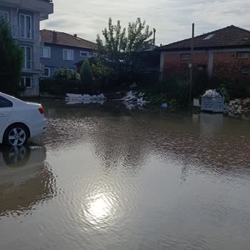 Adapazarı Tekeler Mahallesi 997 Sokakta Sürekli Su Birikintisi Ve Alt Kat Sel Sorunu
