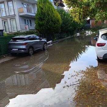 Adapazarı Tekeler Mahallesi 997 Sokakta Sürekli Su Birikintisi Ve Alt Kat Sel Sorunu