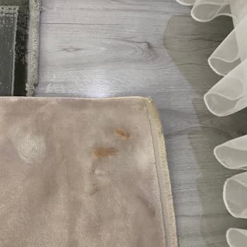 E-halıservisi Tarafından Yıkanan Apex Halısının Lekelenmesi Ve Sorumluluk Reddi