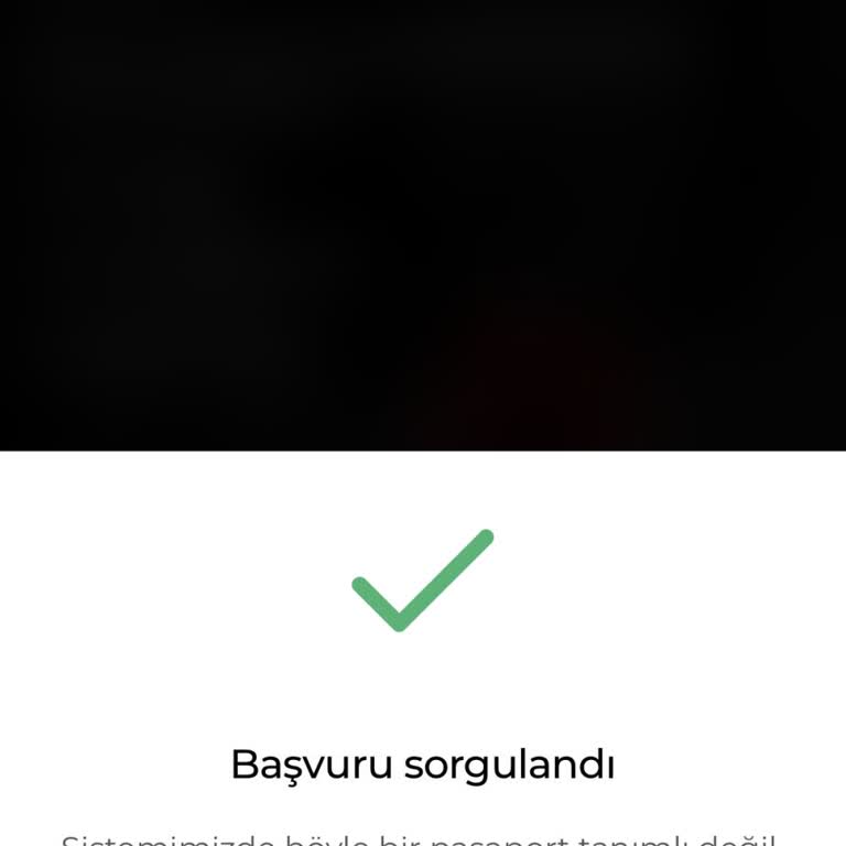 Ankara İdata’da Aile Birleşimi Başvurusunun 5 Aylık Belirsizliği Ve Sistem Hatası