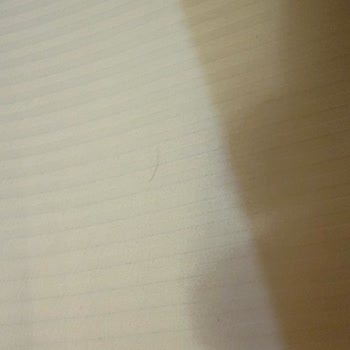 DoubleTree By Hilton Gaziantep’te Hijyen İhlali Ve Güvensiz Personel Girişi