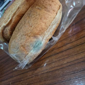 UNO Markalı Tam Buğdaylı Ekmeğin Küflü Çıkması Ve Migros'tan İade Talebi