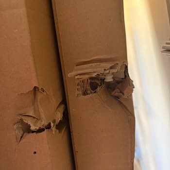 Horoz Lojistik'in Kapı Önüne Bırakması Ve IKEA'da Kırık Ayna Kapak Sorunu