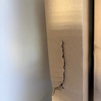 Horoz Lojistik'in Kapı Önüne Bırakması Ve IKEA'da Kırık Ayna Kapak Sorunu