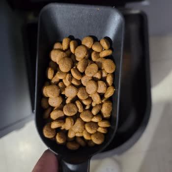 Mutamin Somonlu Köpek Mamasının Yeni Partisinde Görünüm Değişikliği Ve Köpeklerin Reddetmesi