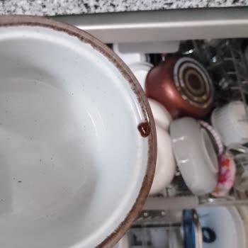Samsung Bulaşık Makinesinde Kurutma Problemi Ve Yetersiz Servis