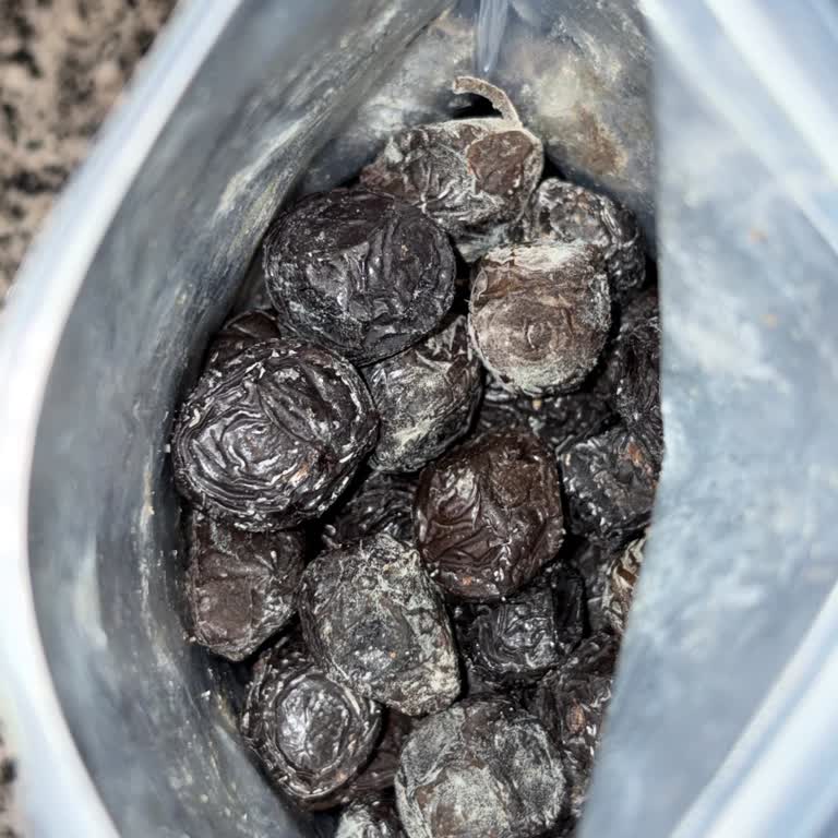 Küflü Siyah Kuru Sele Zeytin İçin Sağlık Riski Ve Maddi Kayıp Şikayeti