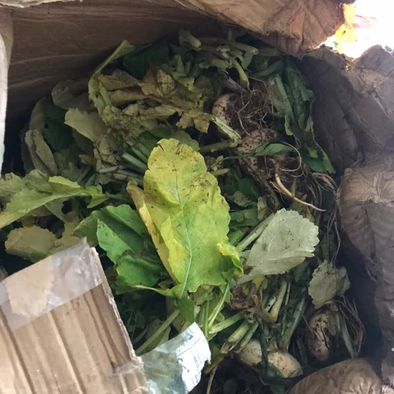 DHL Gecikmesi Ve Bozulmuş Ürünler Nedeniyle Kargo Ücretinin İadesi Talebi