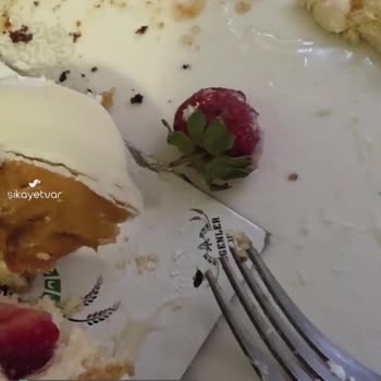 Ergenler Ekmek Ve Pasta Fırını (İstanbul) Böcek Çıktı İçinden