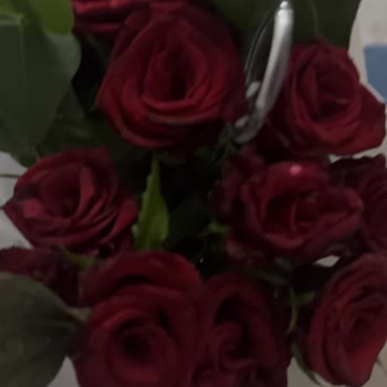 Çiçek Sepeti Gelen Küçük Ve Solmuş Buket İçin İade Ve Yeniden Gönderim Talebi