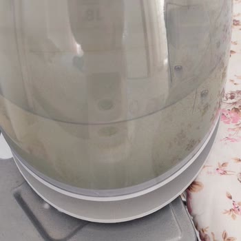 Philips PSG7040 Ütüsünde Yosun Ve Tortu Sorunu Ücretsiz Bakım Talebi