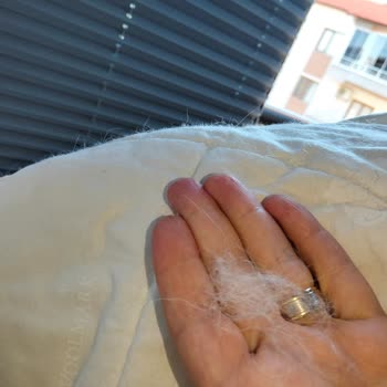 Özdilek Yün Yorganı Sürekli Dökülüyor, N11’e Yönlendirilerek Sorumluluk Reddi