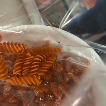 Talya Foods Makarnasında Böcek Sorunu Ve Trendyol’dan Hiç Geri Dönüş Olmadı