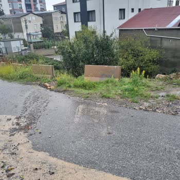 Yağmur Sularının Ev Alt Katına Girişi İçin Acil Set Ve Altyapı Düzenlemesi Talebi