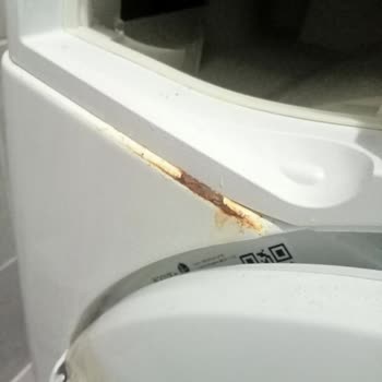 Hoover H3D3 Çamaşır Makinesinde Paslanma, Kırık Kapak Ve Çalışmayan Kurutma Özelliği