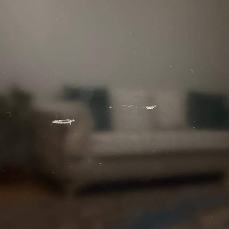 Arçelik TV'de Garanti Kapsamında Hasar Ve Servis Çalışanlarının Suçlayıcı Tutumu