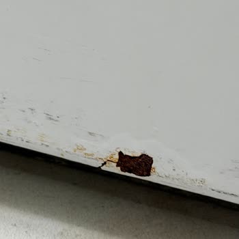 Profilo Çamaşır Makinesinde Erken Paslanma Nedeniyle Ücretsiz Ön Panel Değişimi Talebi
