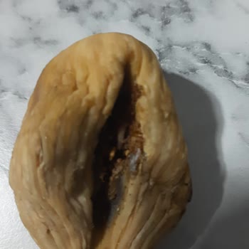 Keskinoğlu Tarım'dan Gelen Kurtlu İncirler Ve İade Talebine Dönüş Yapılmaması