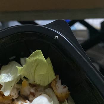 Yemeksepeti Siparişinde Sezar Salatada Canlı Kurt Çıkması Ve Ciddi Hijyen Sorunu