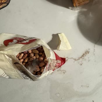 Tat Barbunya Paketinden Çıkan Kuş Tüyü Sağlık Güvenini Sarsıyor
