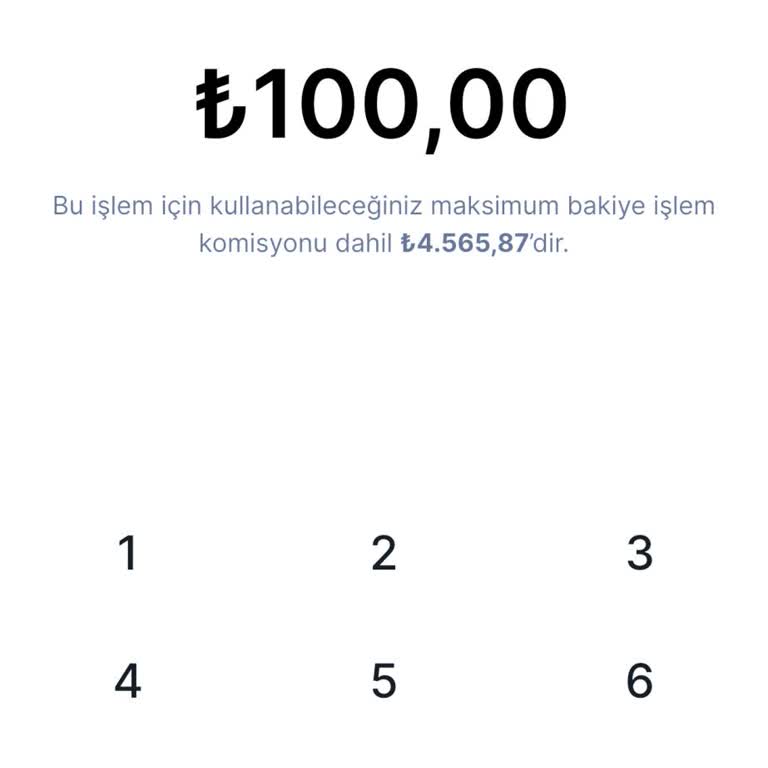 Turan App Banka Hesabımdaki Param Bloke Edildi, İşlem Yapamıyorum