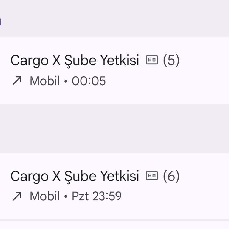 Cargo X Dört Paketi Teslim Etmediği Halde Teslim Edilmiş Gösteriyor