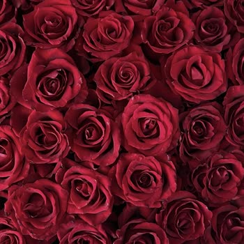 Rosebox’tan 13 Bin TL’lik Gül Aranjmanında Kalite Vaadi Yerine Özensizlik