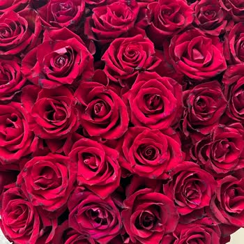 Rosebox’tan 13 Bin TL’lik Gül Aranjmanında Kalite Vaadi Yerine Özensizlik