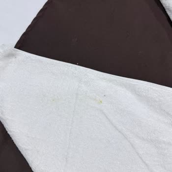 Agoda.com Üzerinden Rezervasyon Yapılan Oda Hijyenik Değildi, İade Talebi Reddedildi