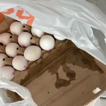 Migros Online Siparişte Deterjan Sızıntısı Nedeniyle Ürün Hasarı Ve Para İadesi Talebi