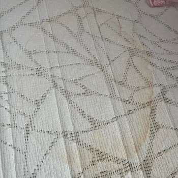Bamboo Yatakta Erken Sararma Ve Lekeler, Ücretsiz Değişim Talebi