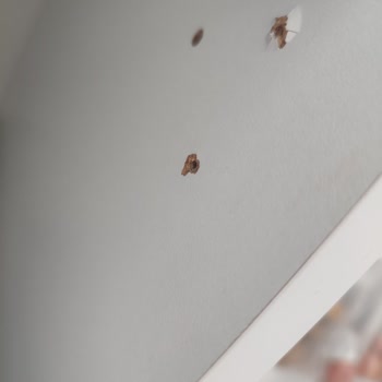 Sağdan Sola Açılmayacak Dolapta Yanlış Bilgi, Hatalı Kurulum Ve İade Reddi