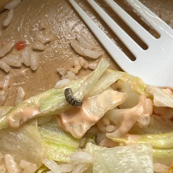 Usta Dönerci Salatasında Tırtıl Bulunması Ve Cevapsız Şikayet