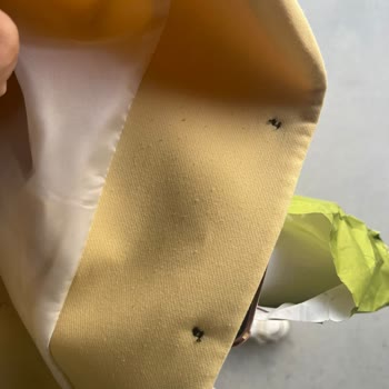 Mai Collection Blazer Cekette Tüylenme Ve Bozulma, Değişim Veya İade Talebi