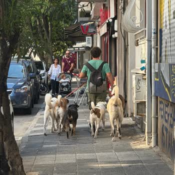 Kadıköy Zühtüpaşa Mahallesi Kaldırımlarında Yayalar İçin Güvenlik Sorunu Ve Yetersiz Denetim