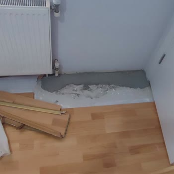 Fortes Mühendislik 5 Dairenin Doğalgaz Dönüşümünü 6 Ayda Tamamlanmaması