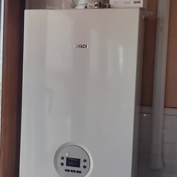 Fortes Mühendislik 5 Dairenin Doğalgaz Dönüşümünü 6 Ayda Tamamlanmaması