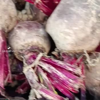 Çağdaş Marketler Hijyen Şartlarına Uyulmaması!