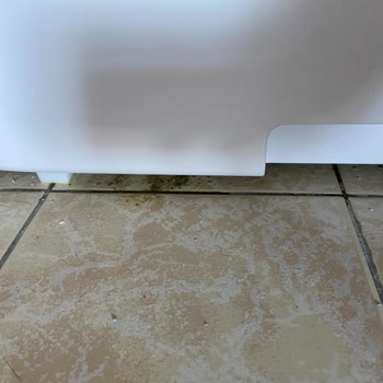 Haustier Blw02 Otomatik Kedi Tuvaletinde Sızıntı Ve Aşırı Gürültü Sorunu