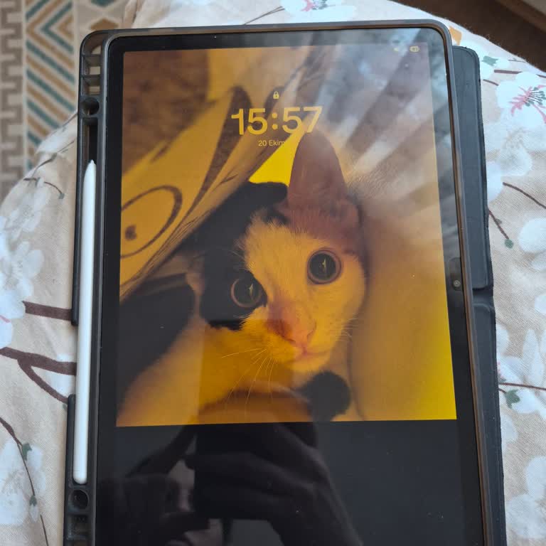 Samsung Galaxy Tab S9 Tekrarlayan Ekran Kırılması Ücretsiz Onarım Talebi