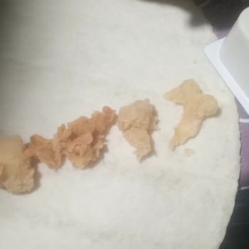 Küçük Nugget Boyutu Ve Telefon Görüşmesindeki Saygısızlık