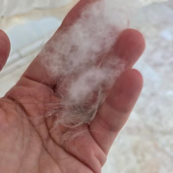 Hepsiburada'dan Özdilek Yün Yorganının İlk Yıkamada Küçülmesi Ve Yün Tozu Sorunu