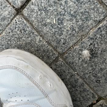 Kapı Arızası Nedeniyle Ayakkabı Yırtıldı Ve Güvenlik Riski Oluştu