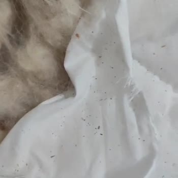 Lizayn Perde & Yorgan Dikim Evi Yorgan Dolgu Malzemesi Yanlış, 7.400 TL Ücret İade Talebi