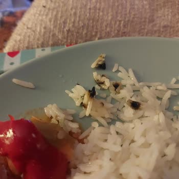 Migros Gurmepack Ürününde Küf Ve Böcek Şüphesi Sağlık Tehlikesi