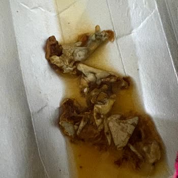 Dimes Şeftali Aromalı Meyve Suyunda Bozulmuş Ve Yabancı Parçacık Görüldü