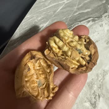Kargo Gecikmesi Ve Küflü Ceviz Teslimatı İçin Çözüm Talebi
