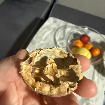Kargo Gecikmesi Ve Küflü Ceviz Teslimatı İçin Çözüm Talebi