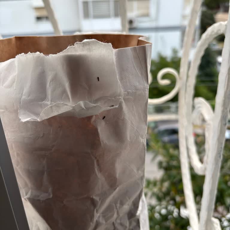 Kappadokia Böceklenmiş Gıda Ürünü İçin Değişim Talebi 15 Gün Şartıyla Reddedildi