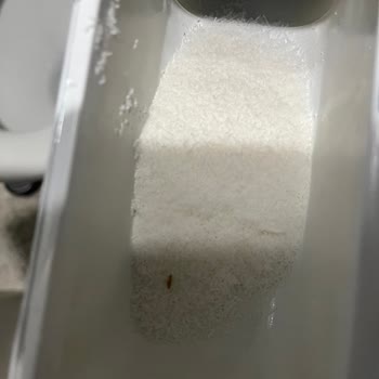 Baby Me Yıkama Sabunu İçinde Böcek Benzeri Madde Çıktı, Hijyen Sorunu